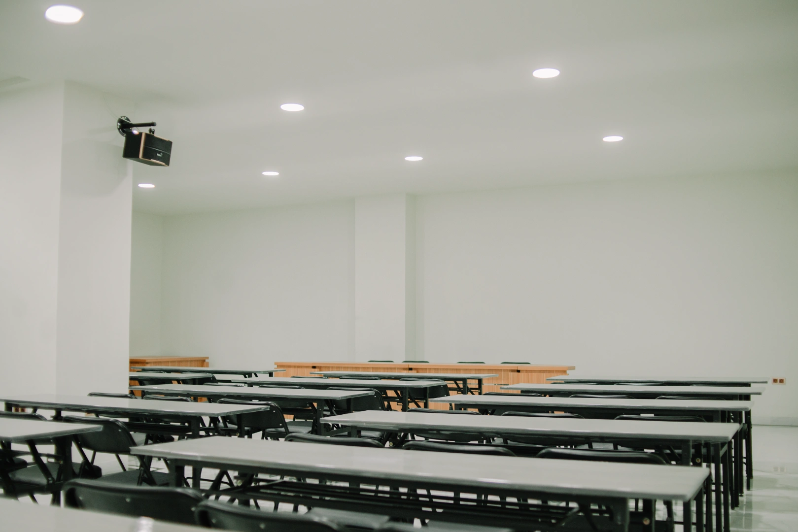 Meetings & Conferences